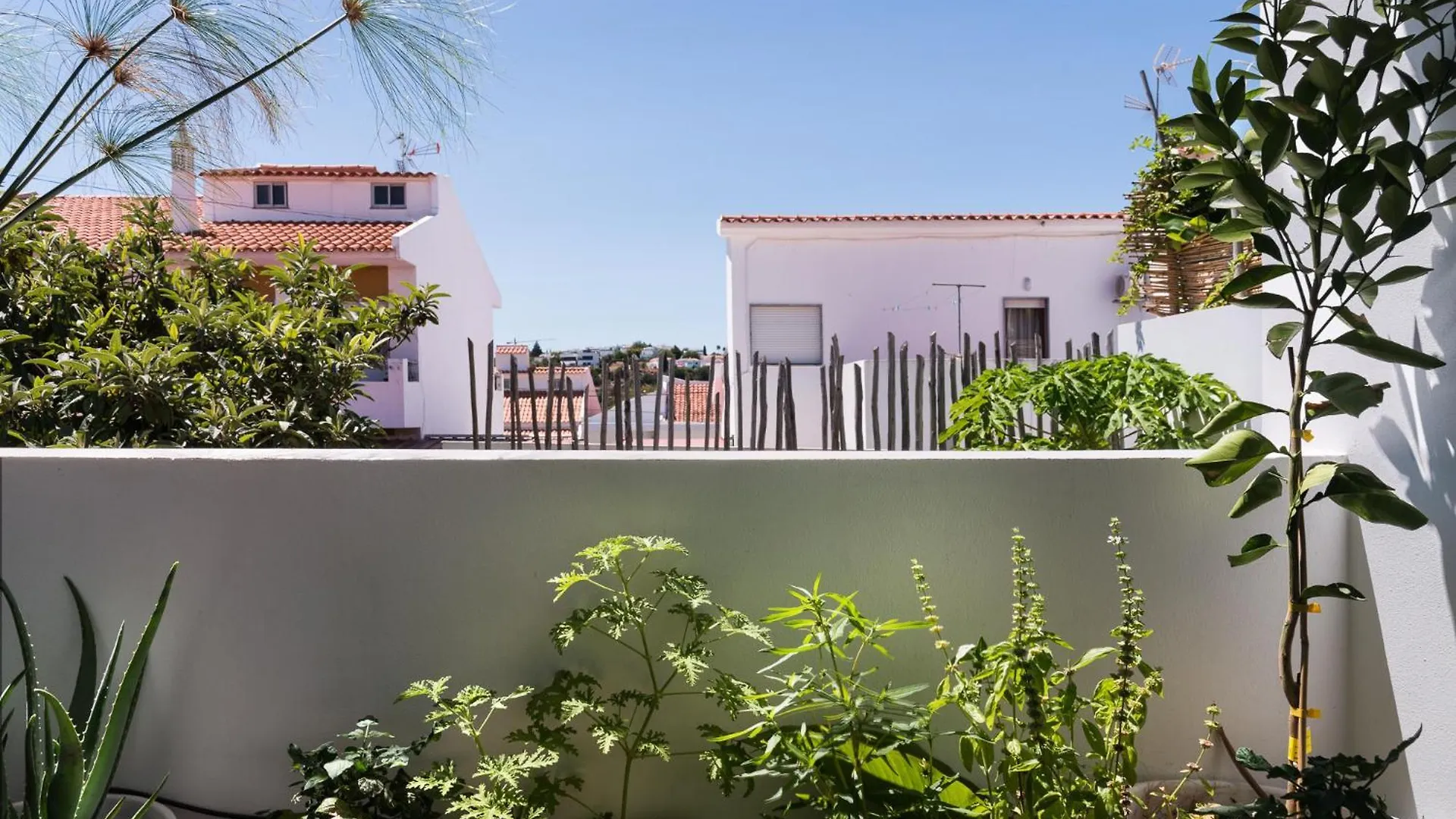 Altanure Almatere - Food Forest Boutique Stay Tavira